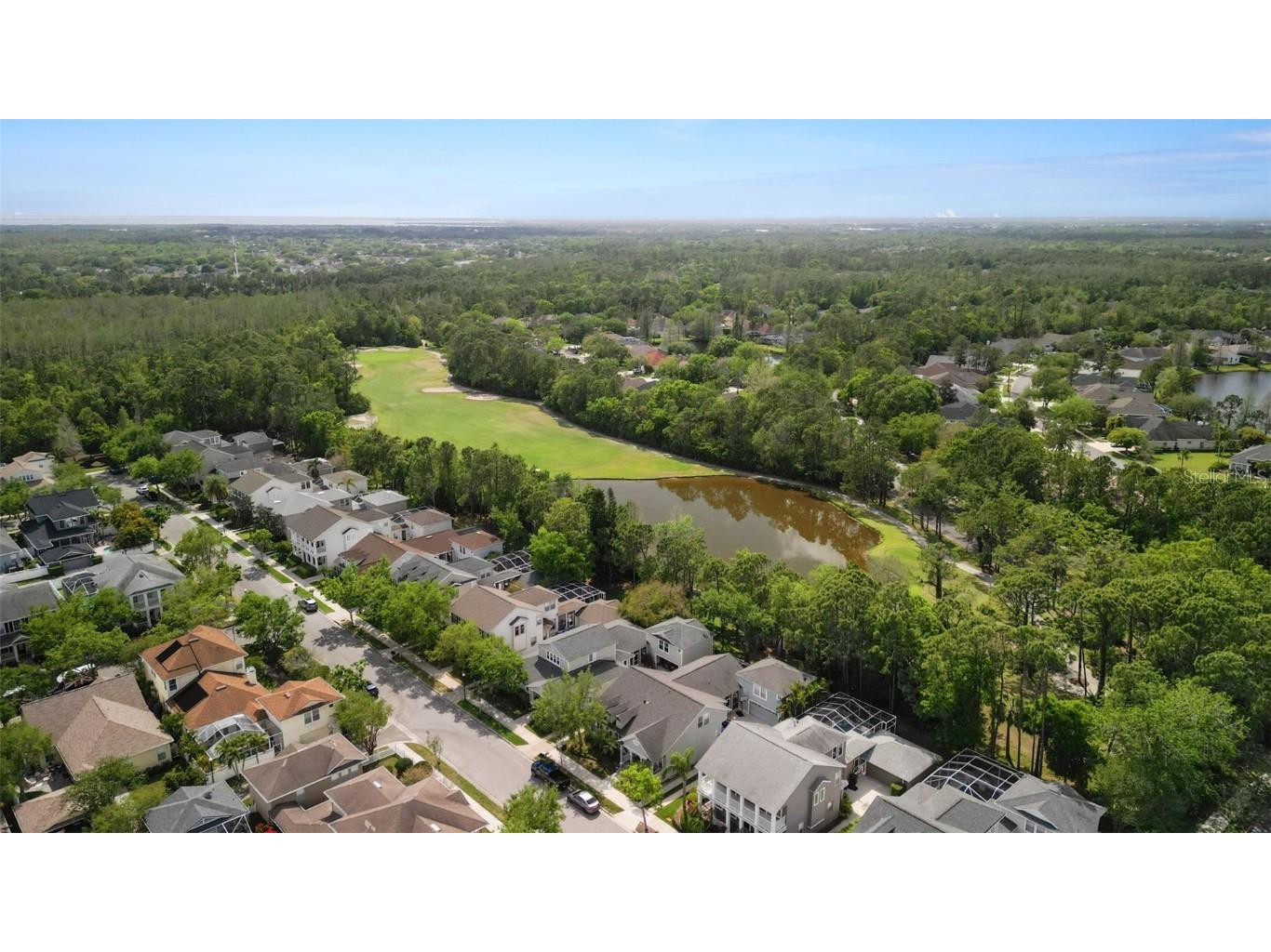 10455 Green Links Drive Tampa FL 33626 TB8423512 image57