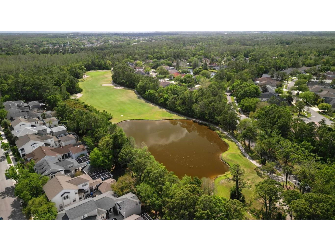 10455 Green Links Drive Tampa FL 33626 TB8423512 image58