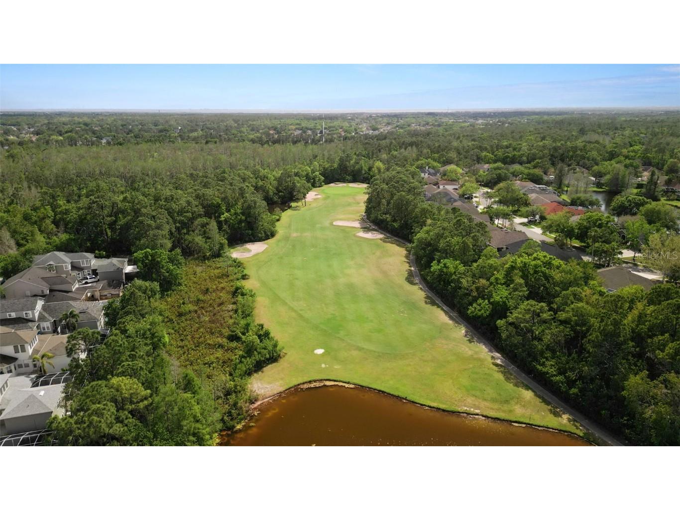 10455 Green Links Drive Tampa FL 33626 TB8423512 image59