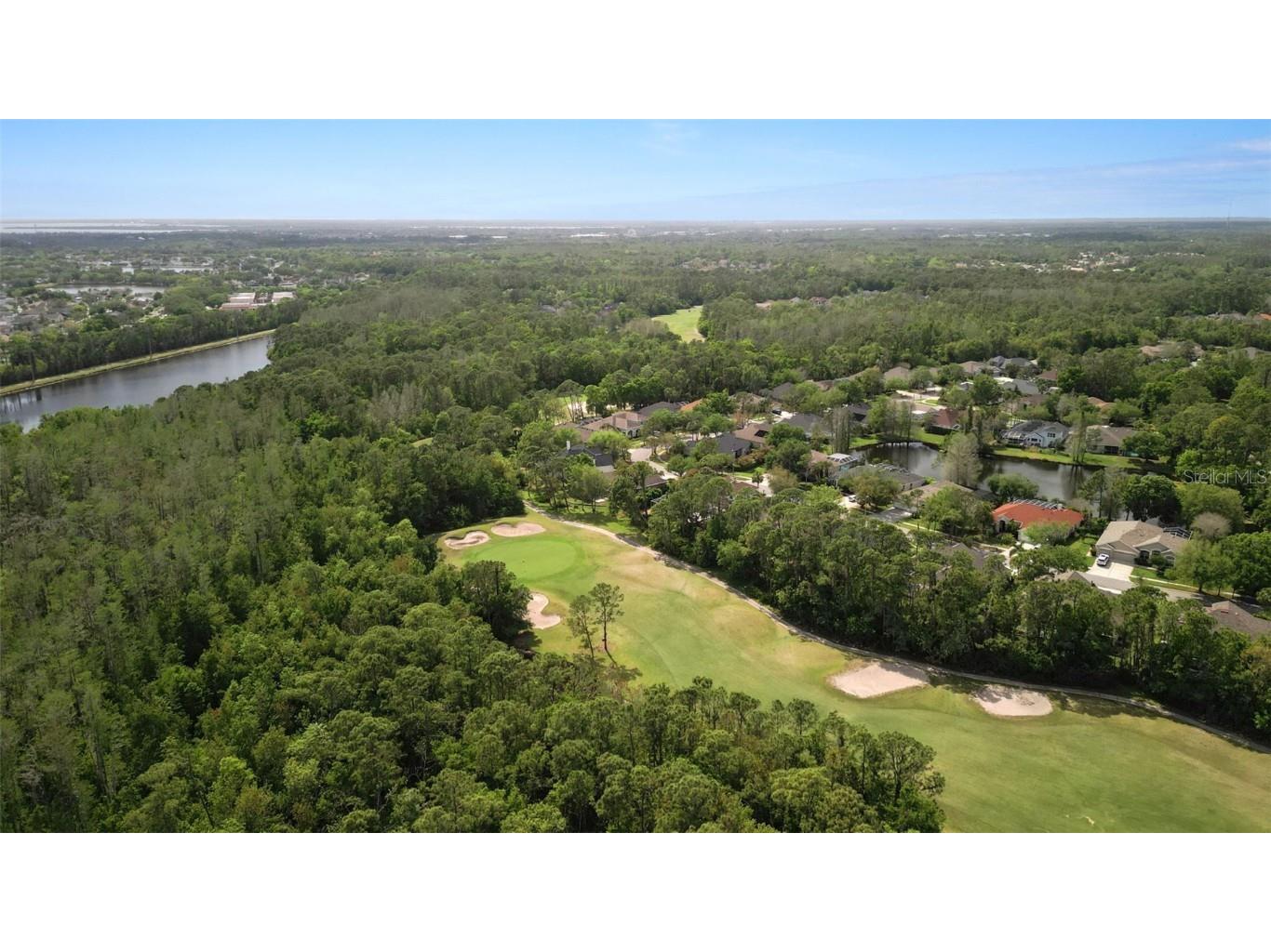 10455 Green Links Drive Tampa FL 33626 TB8423512 image60