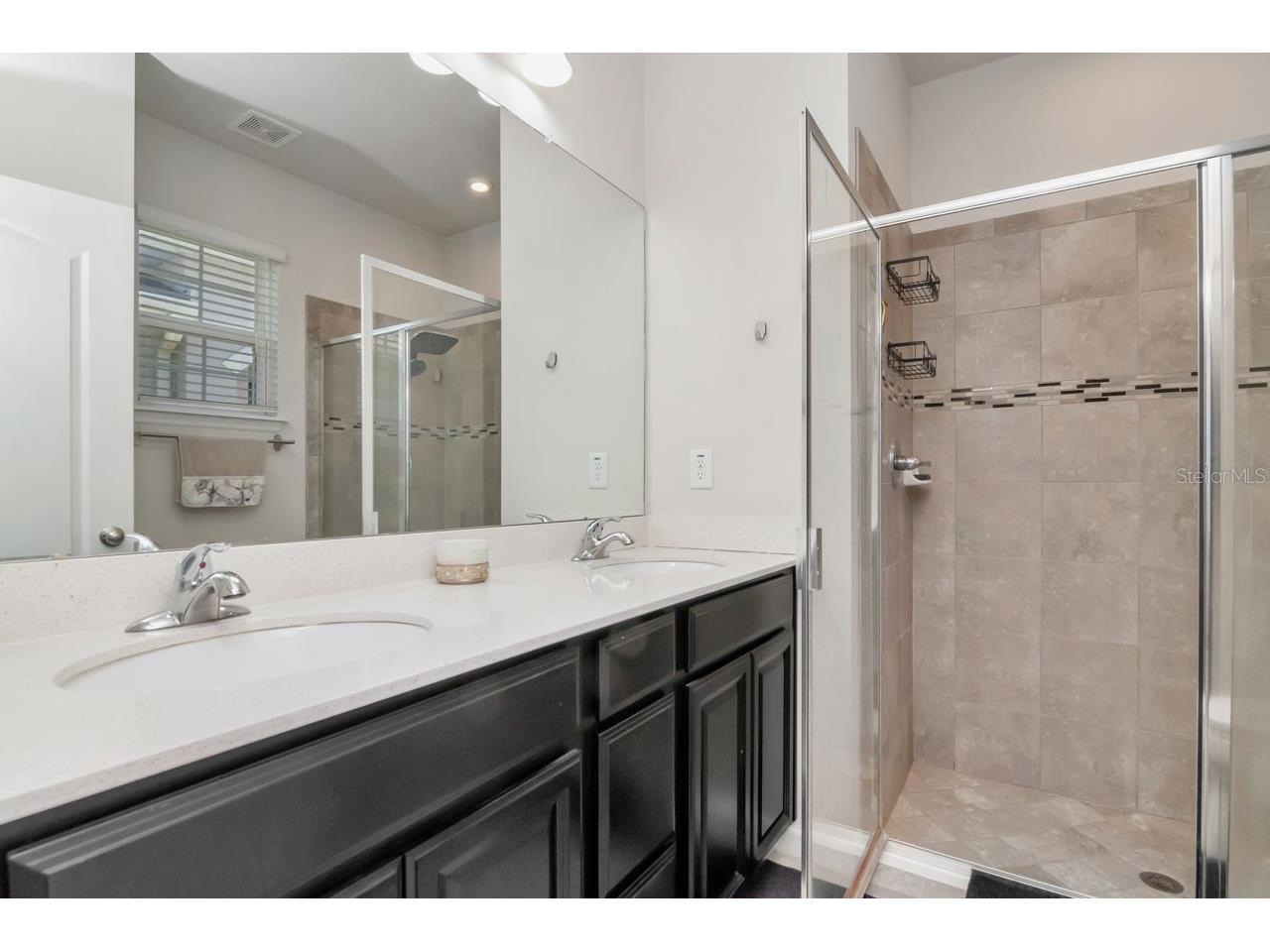 10455 Heron Hideaway Loop Land O Lakes FL 34638 TB8498260 image29
