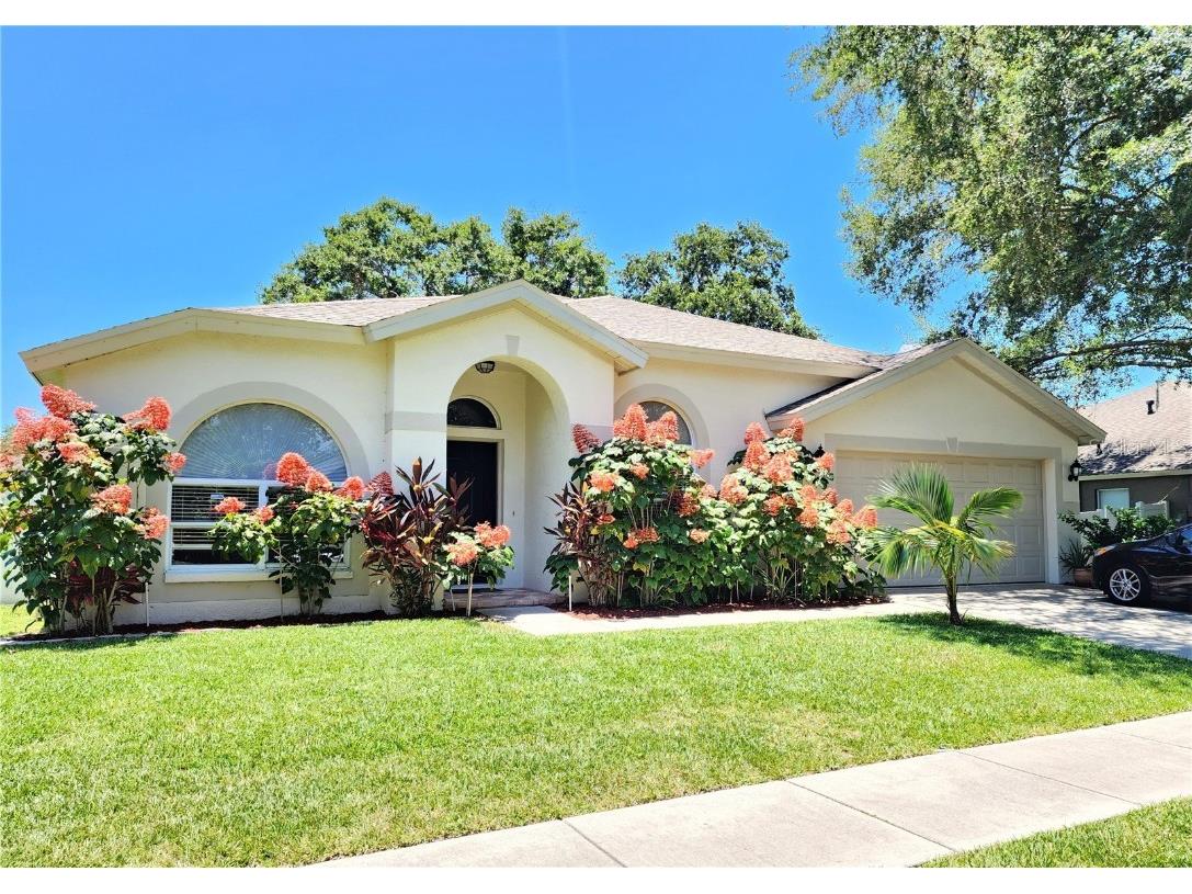 10456 Ashley Oaks Drive Riverview FL 33578 T3452608 image1