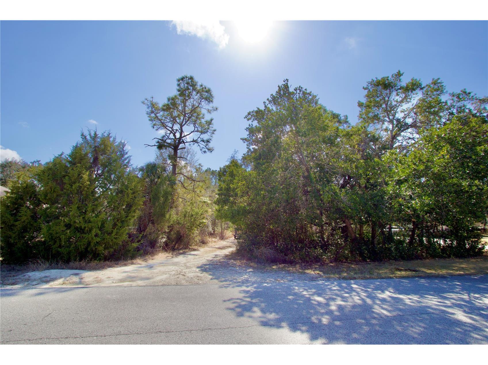 10458 Gypsy Avenue Weeki Wachee FL 34613 W7882997 image1