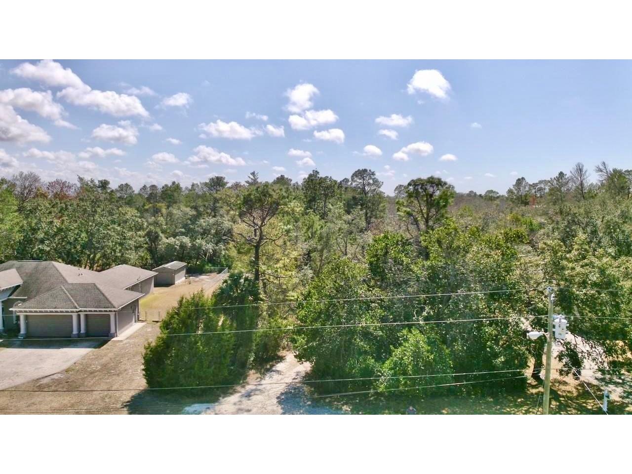 10458 Gypsy Avenue Weeki Wachee FL 34613 W7882997 image2