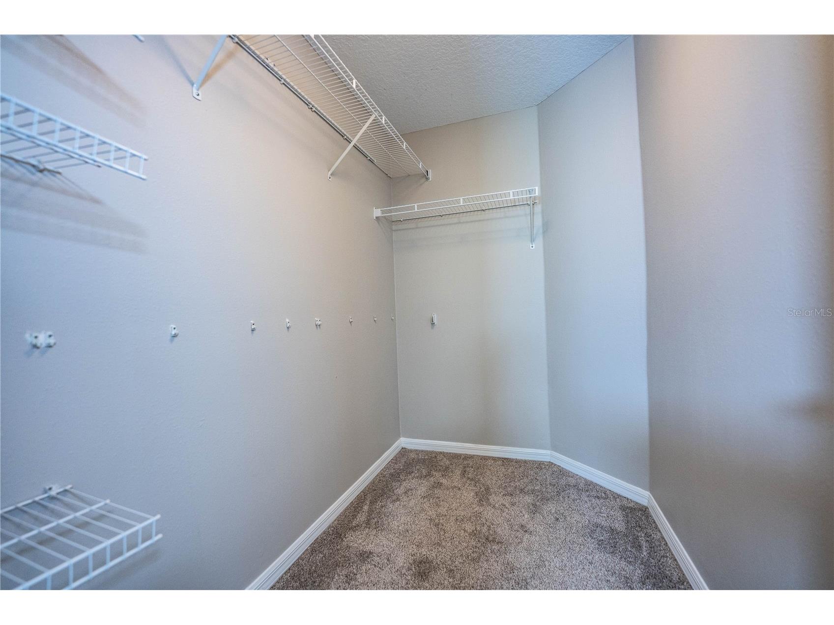 10458 Lucaya Drive Tampa FL 33647 P4938542 image22
