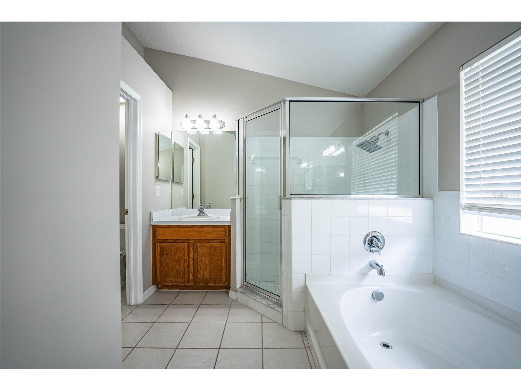10458 Lucaya Drive Tampa FL 33647 P4938542 image24