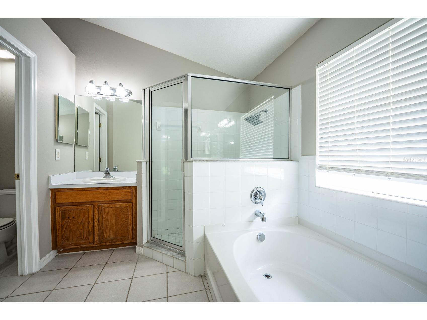 10458 Lucaya Drive Tampa FL 33647 P4938542 image25