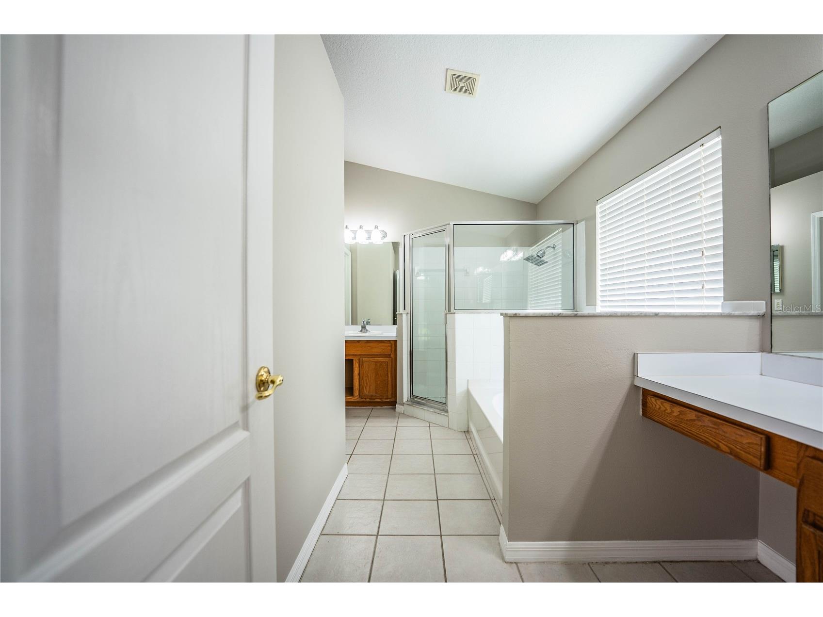 10458 Lucaya Drive Tampa FL 33647 P4938542 image26