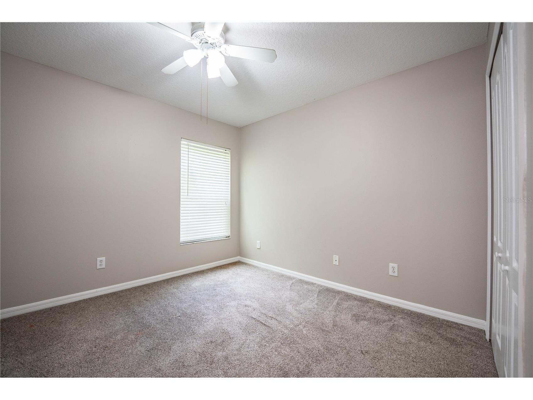 10458 Lucaya Drive Tampa FL 33647 P4938542 image37