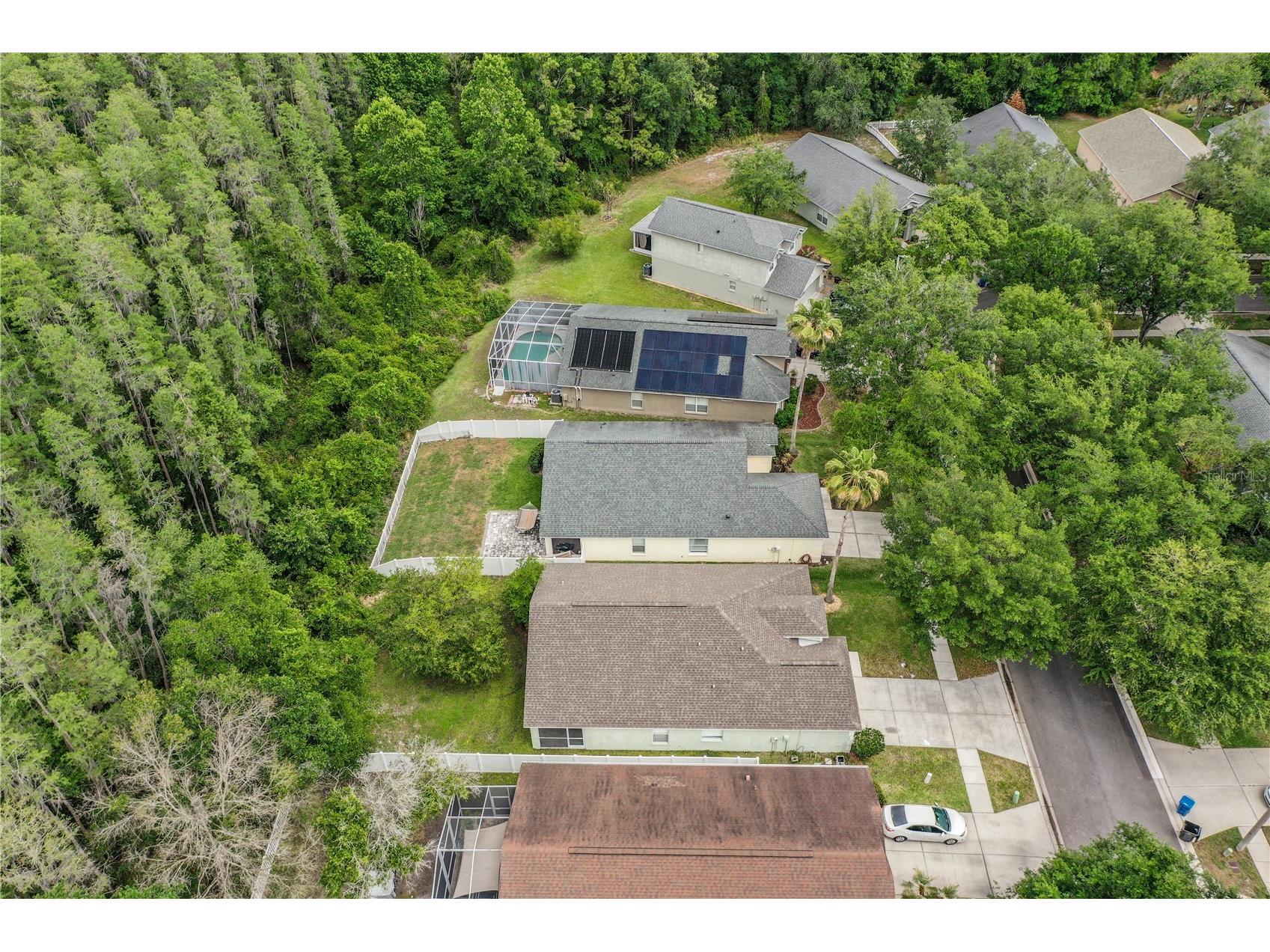 10458 Lucaya Drive Tampa FL 33647 P4938542 image4