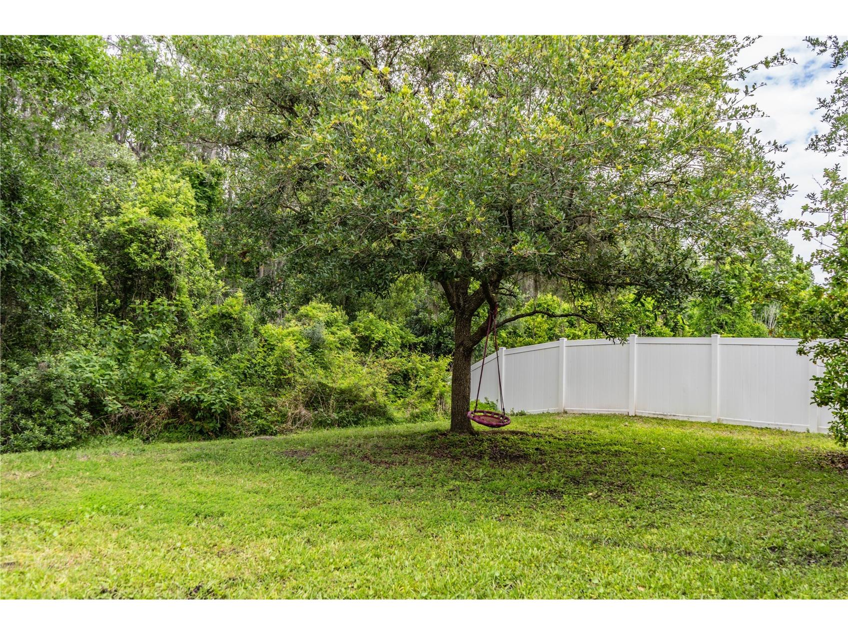 10458 Lucaya Drive Tampa FL 33647 P4938542 image40