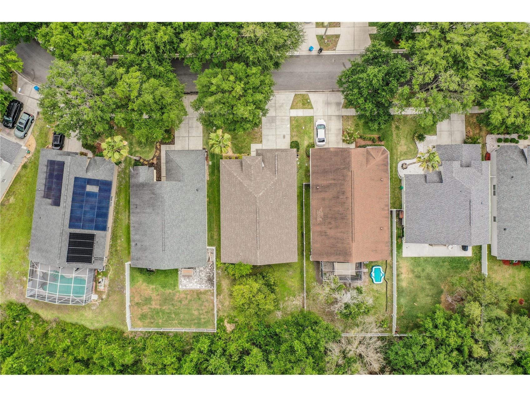 10458 Lucaya Drive Tampa FL 33647 P4938542 image6