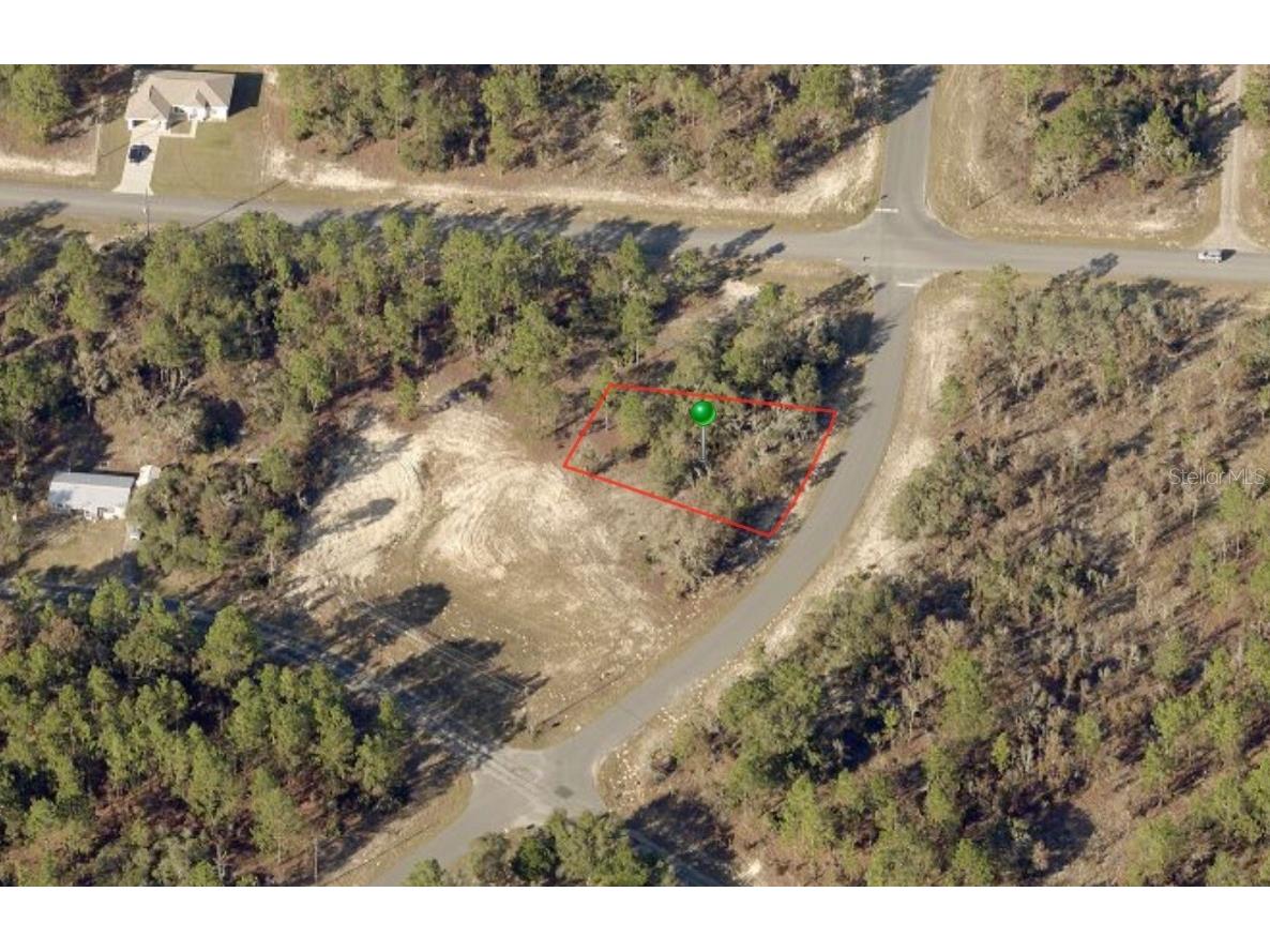 10458 N G Martinelli Boulevard Citrus Springs FL 34433 G5073687 image1