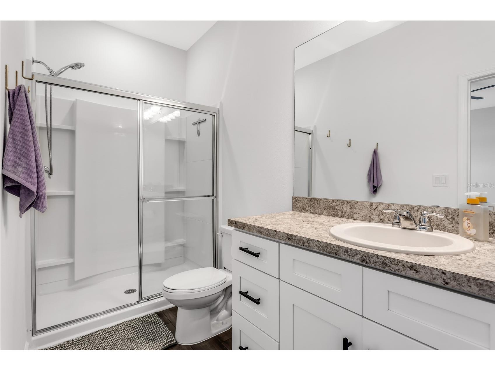 10459 Ladybug Cove Parrish FL 34219 TB8490563 image21