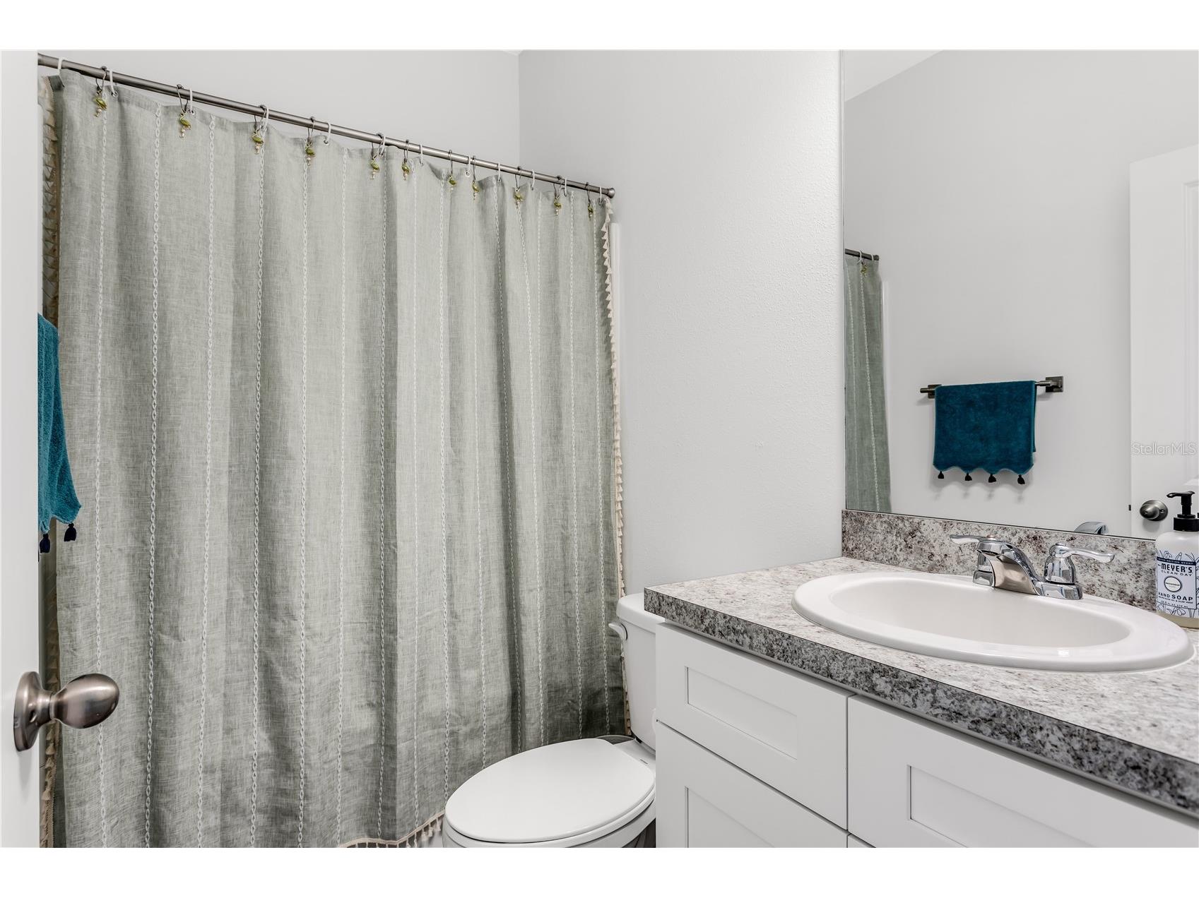 10459 Ladybug Cove Parrish FL 34219 TB8490563 image24
