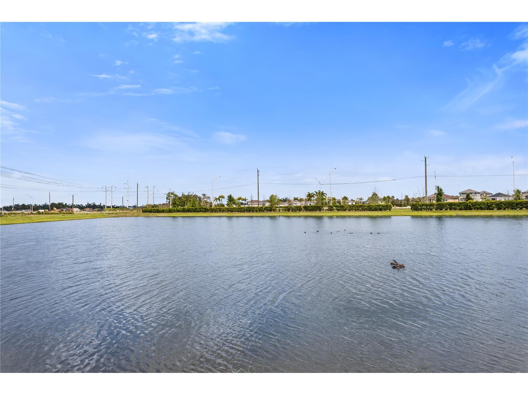 10459 Ladybug Cove Parrish FL 34219 TB8490563 image32