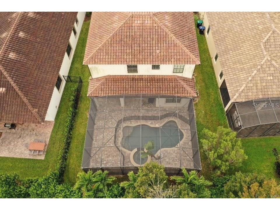 10459 Stapeley Drive Orlando FL 32832 O6361642 image49