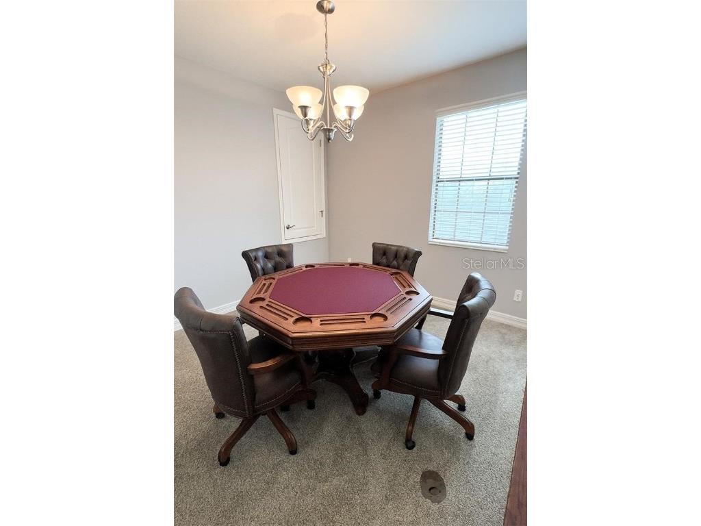 10459 Stapeley Drive Orlando FL 32832 O6362616 image13