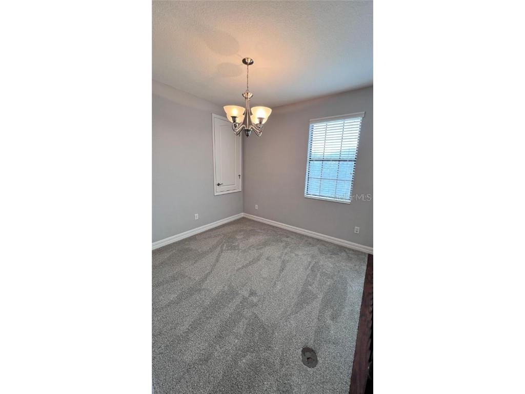 10459 Stapeley Drive Orlando FL 32832 O6362616 image30