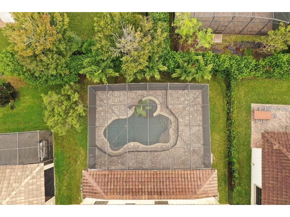 10459 Stapeley Drive Orlando FL 32832 O6362616 image52