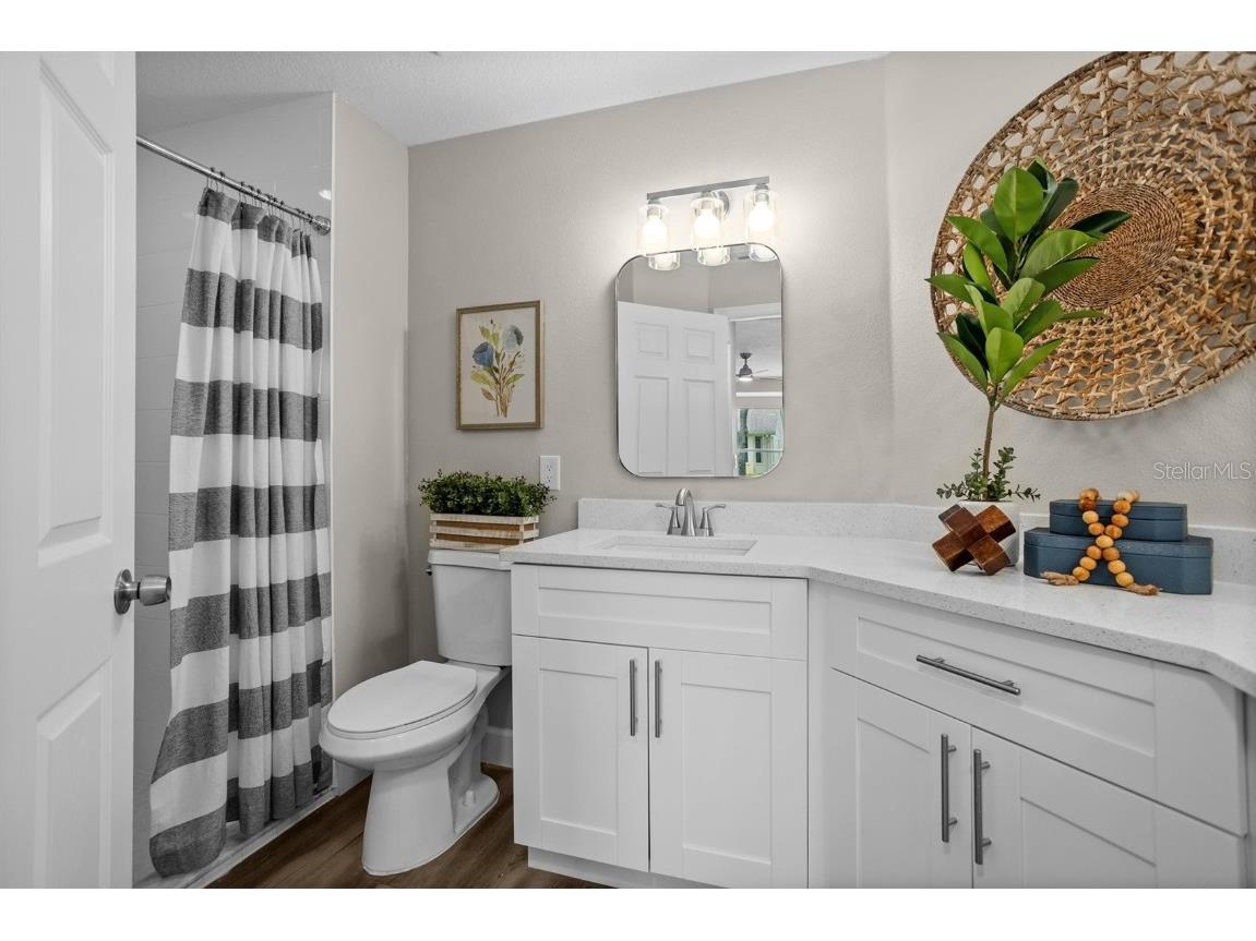 1046 Almondwood Drive Trinity FL 34655 TB8434006 image25