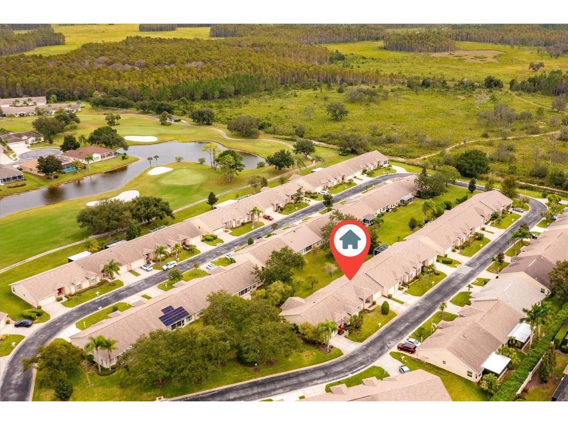 1046 Almondwood Drive Trinity FL 34655 TB8434006 image41