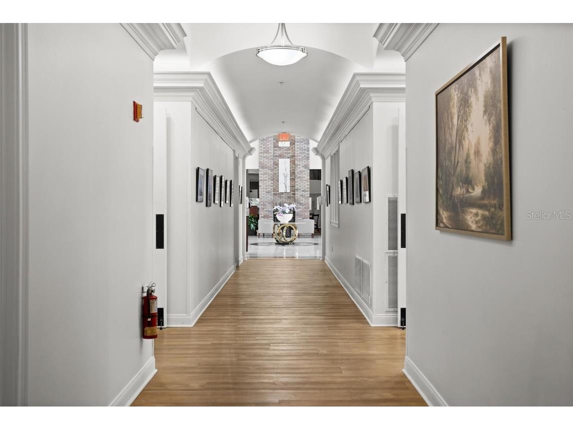 1046 Almondwood Drive Trinity FL 34655 TB8434006 image47