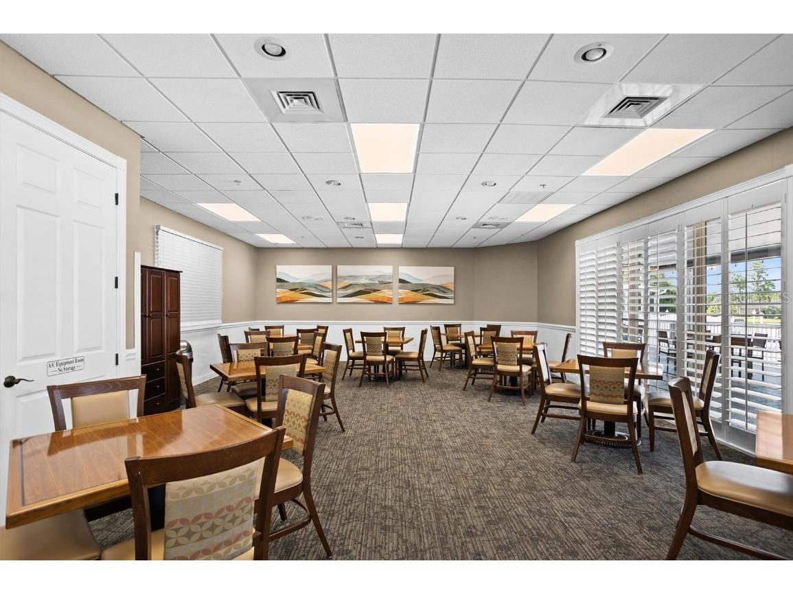 1046 Almondwood Drive Trinity FL 34655 TB8434006 image48