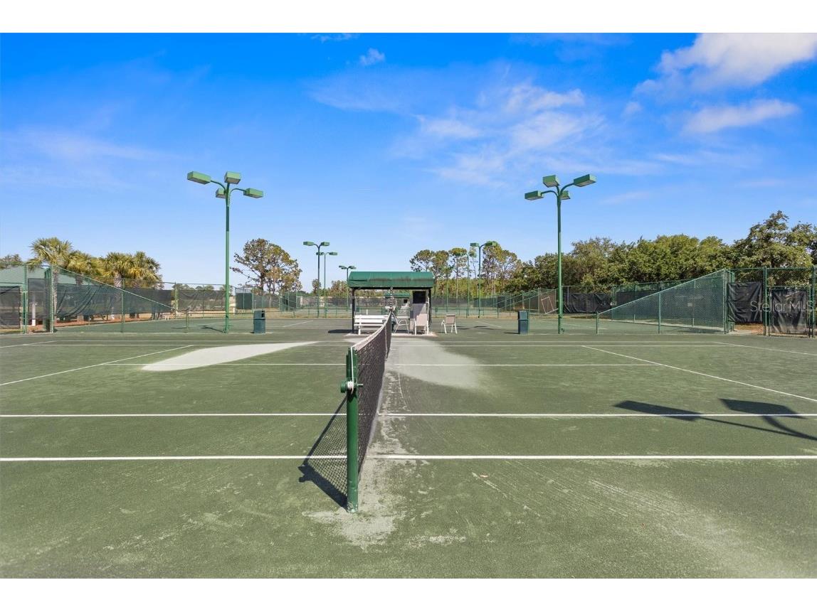 1046 Almondwood Drive Trinity FL 34655 TB8434006 image57