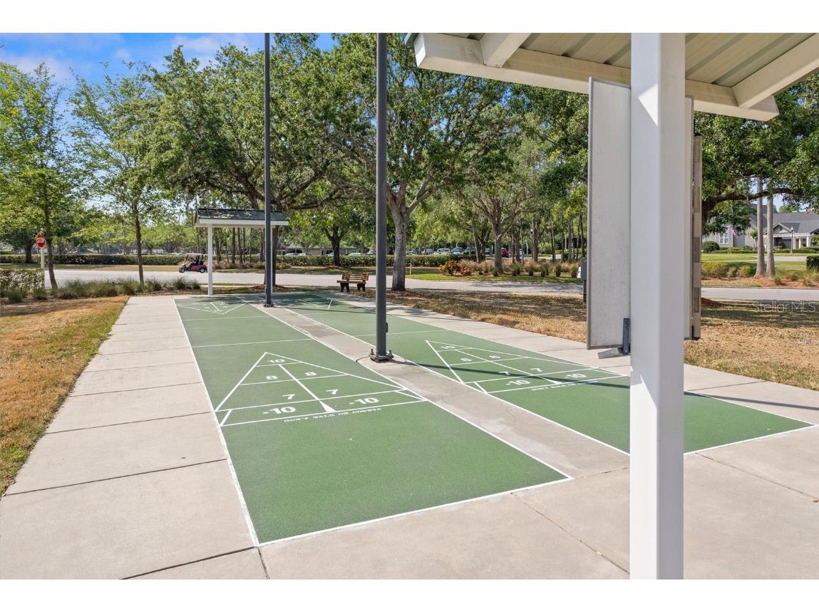 1046 Almondwood Drive Trinity FL 34655 TB8434006 image58