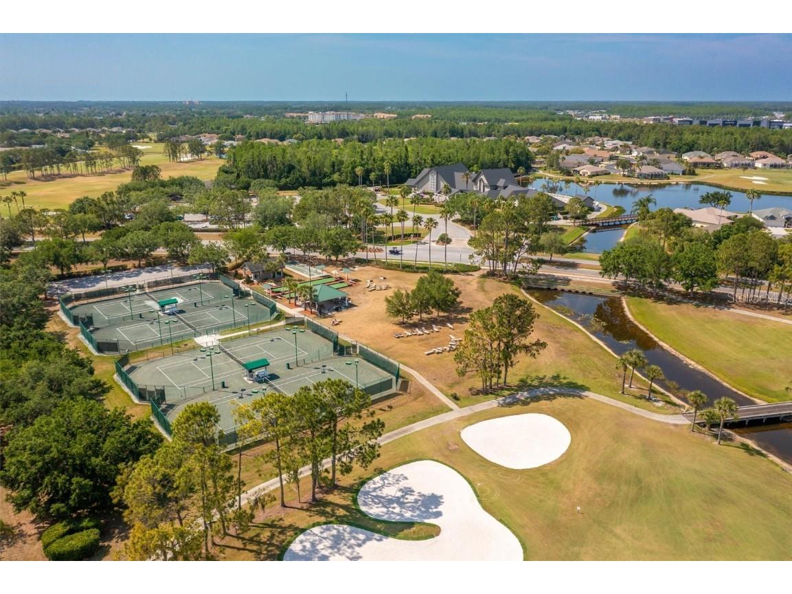 1046 Almondwood Drive Trinity FL 34655 TB8434006 image61