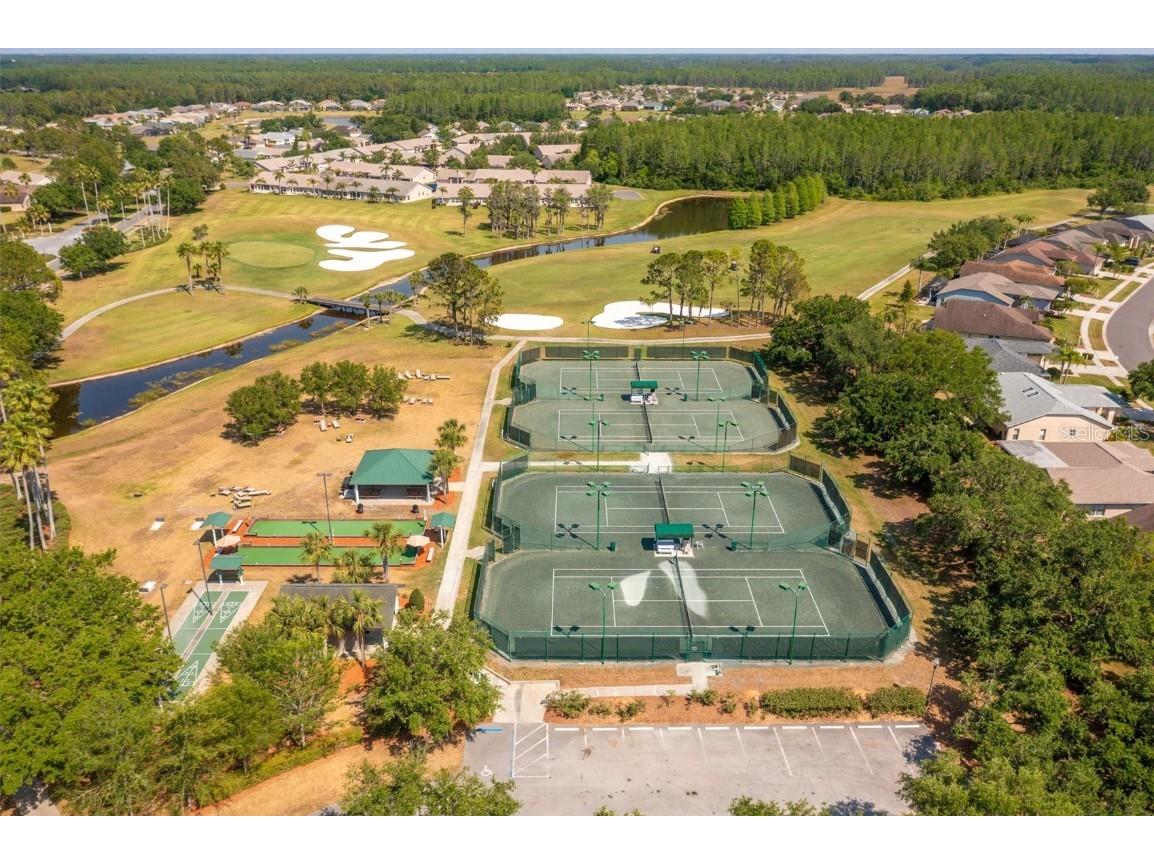 1046 Almondwood Drive Trinity FL 34655 TB8434006 image63