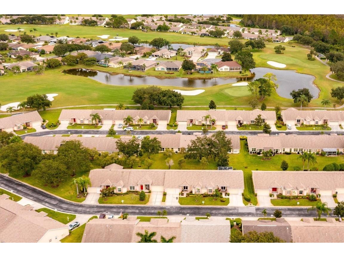 1046 Almondwood Drive Trinity FL 34655 TB8434006 image67