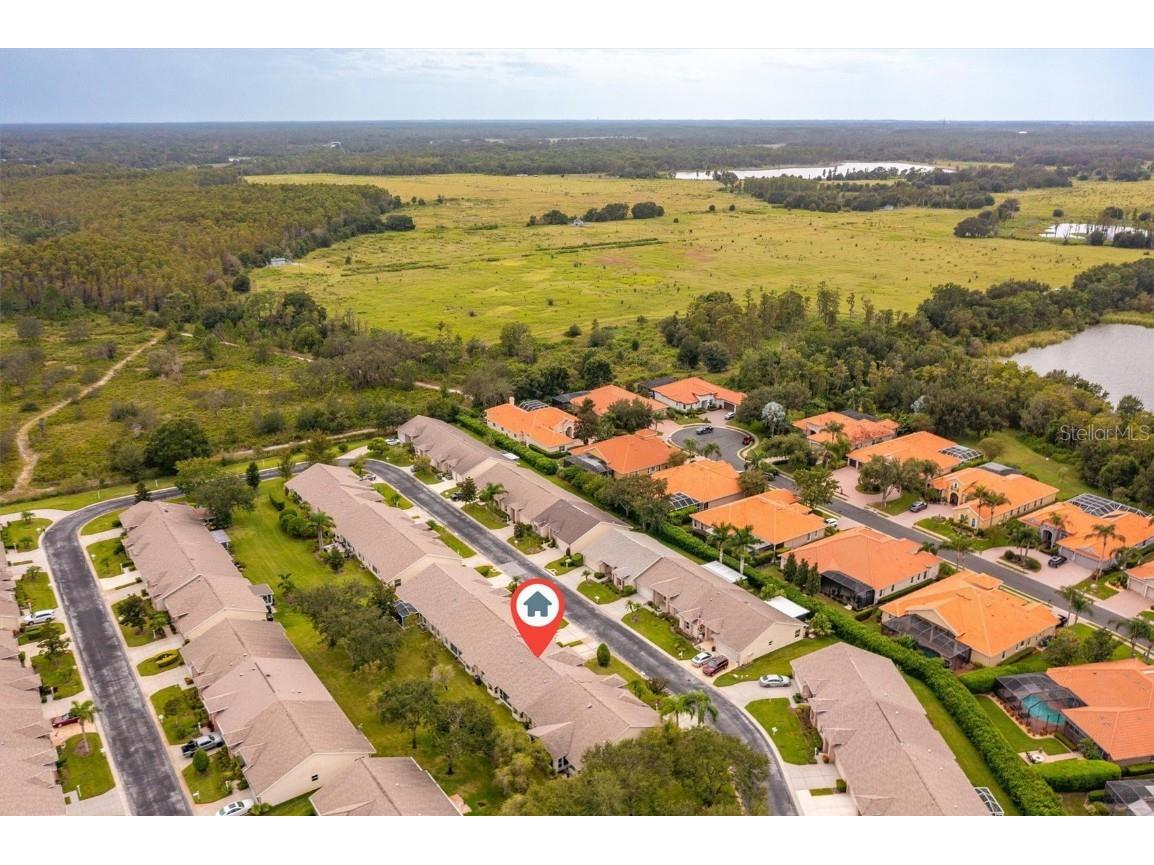 1046 Almondwood Drive Trinity FL 34655 TB8434006 image68