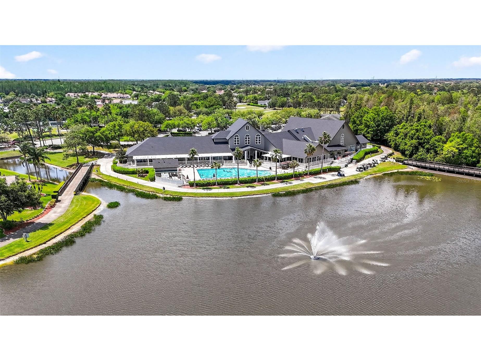 1046 Almondwood Drive Trinity FL 34655 TB8493701 image48