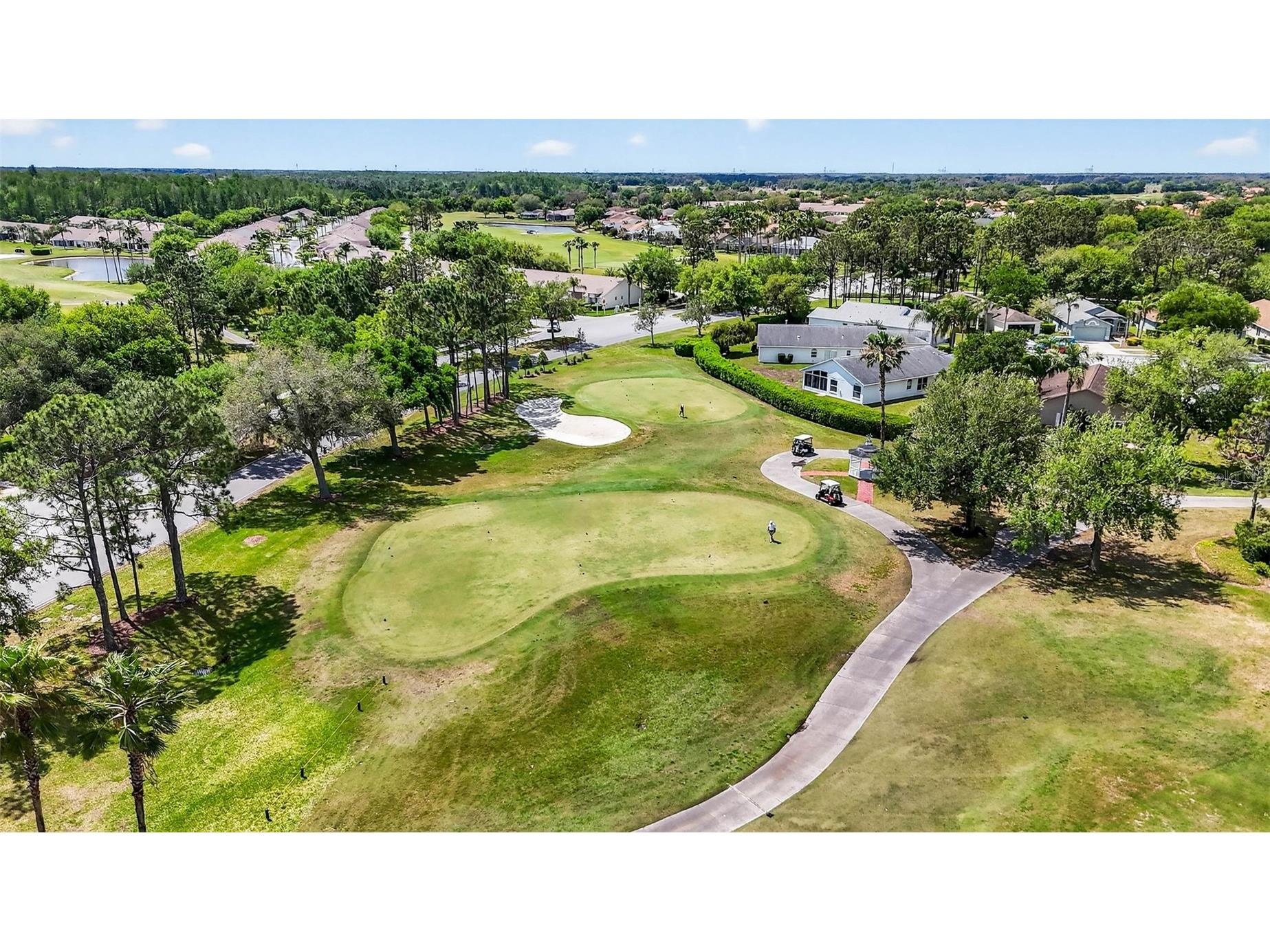 1046 Almondwood Drive Trinity FL 34655 TB8493701 image49