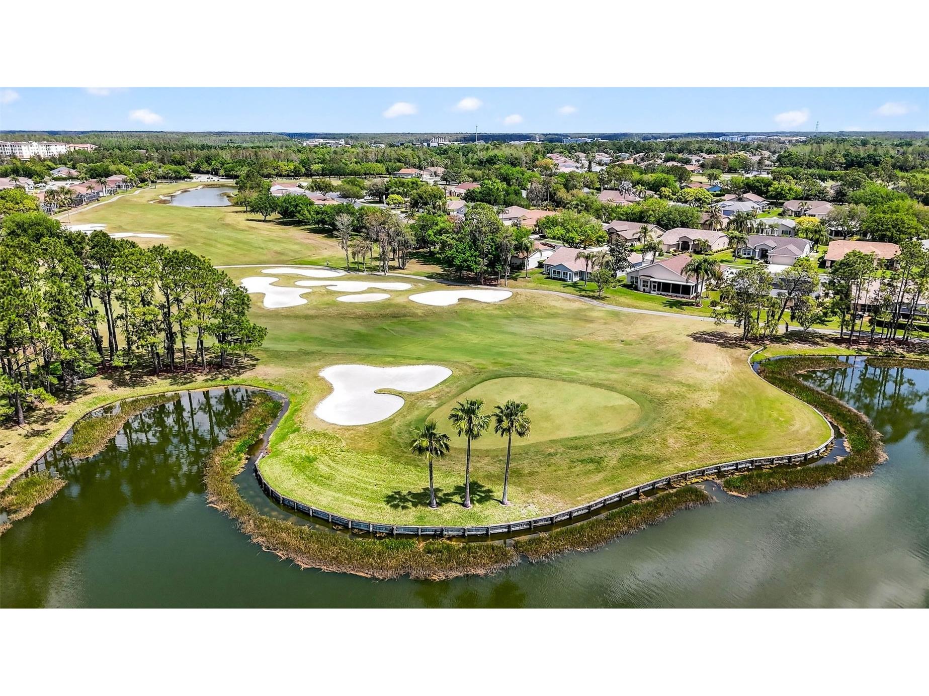 1046 Almondwood Drive Trinity FL 34655 TB8493701 image50