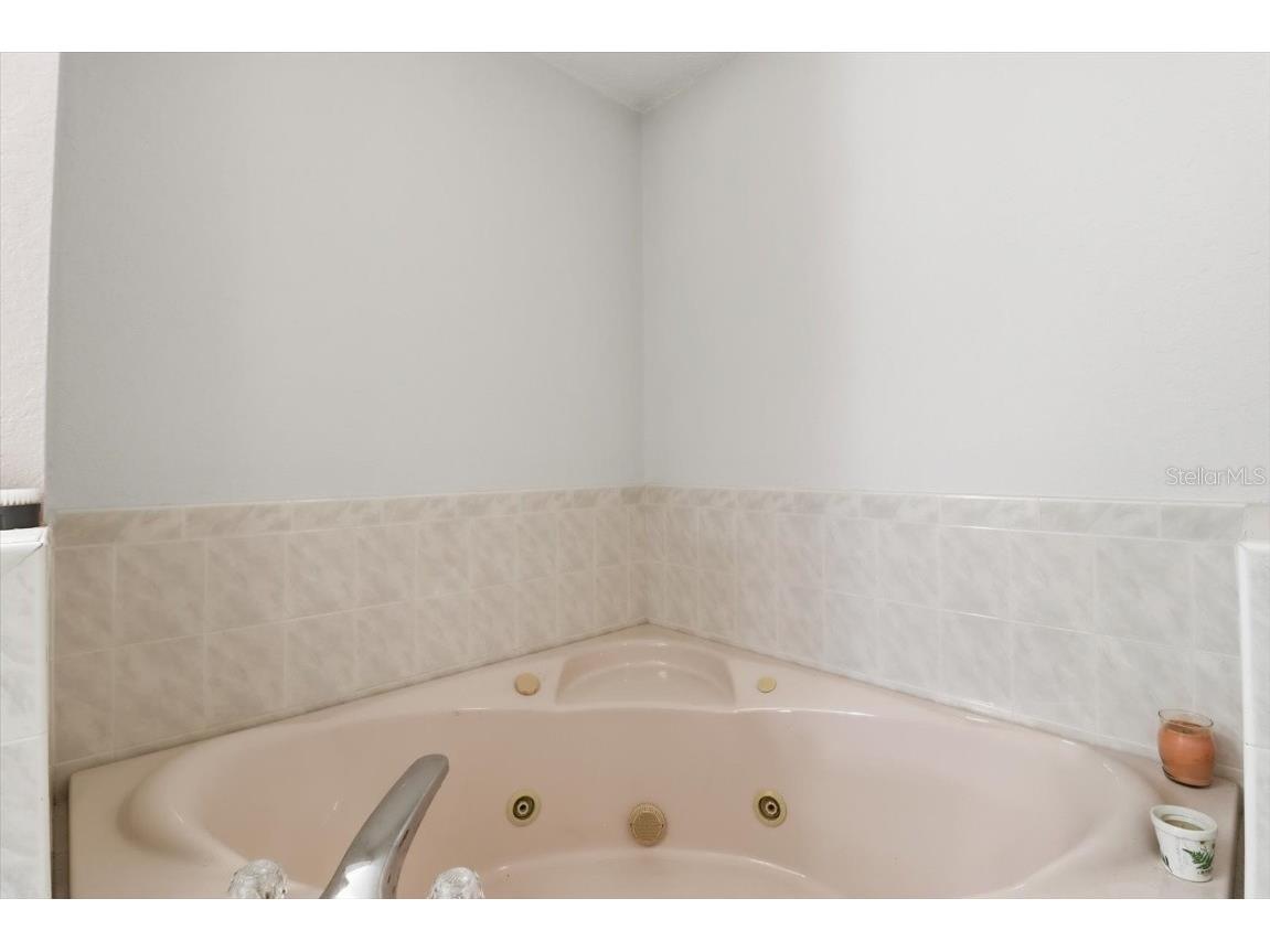 1046 Castille Drive Spring Hill FL 34608 TB8451150 image23