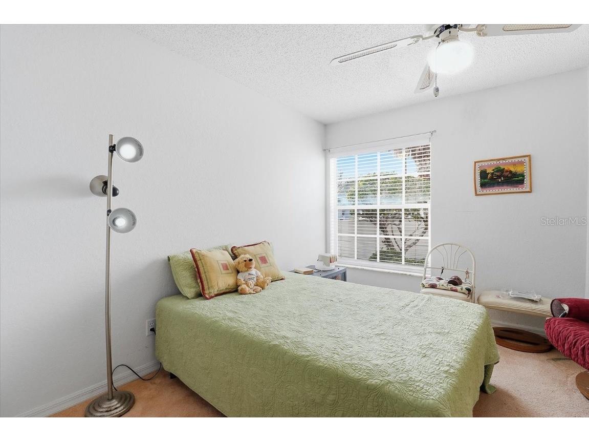 1046 Castille Drive Spring Hill FL 34608 TB8451150 image25