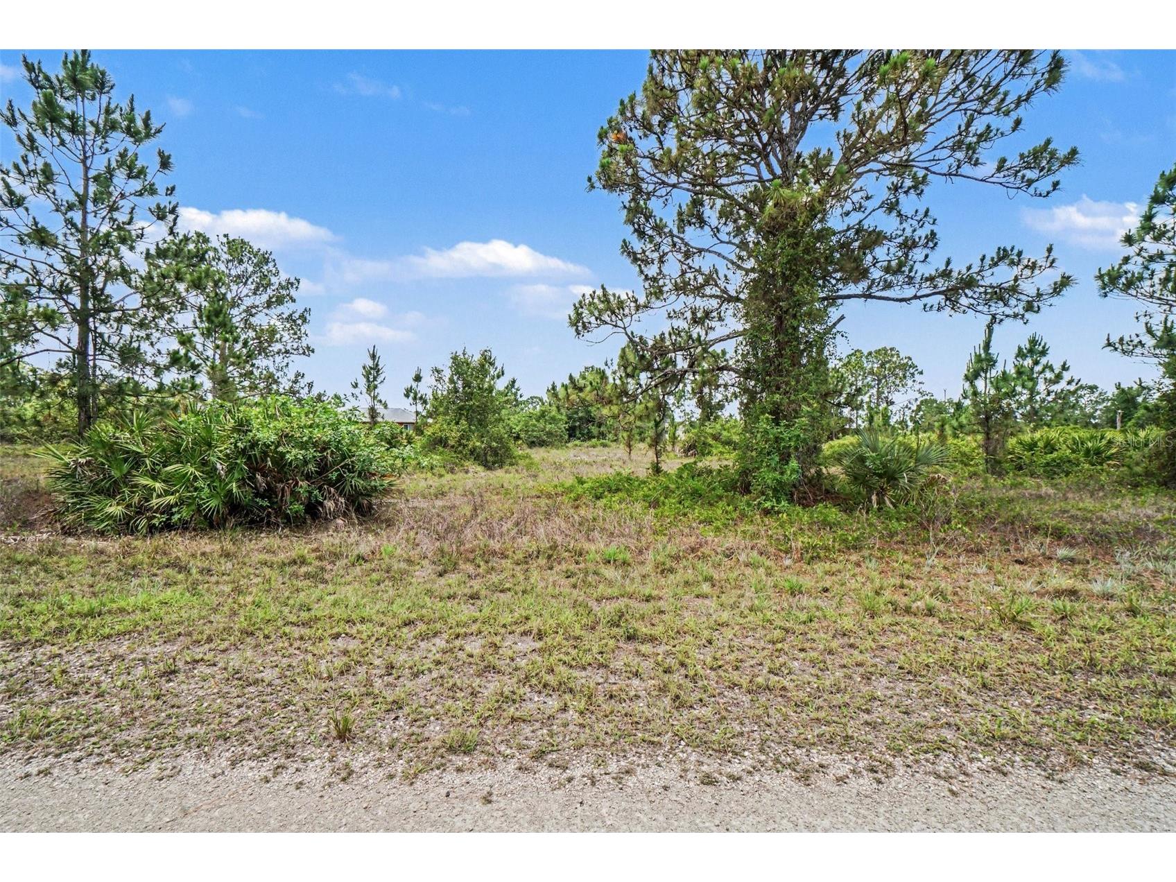 1046 Chandlee Street Lehigh Acres FL 33974 V4949343 image4