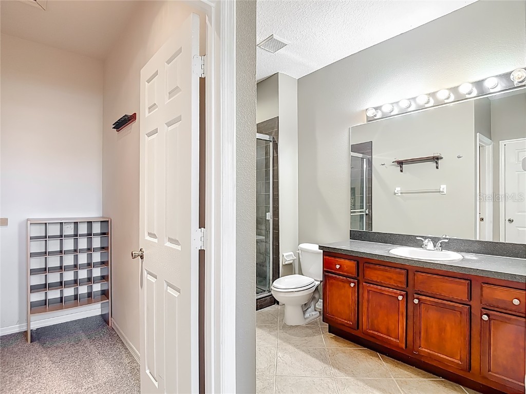 1046 Tullamore Drive Wesley Chapel FL 33543 TB8442568 image26