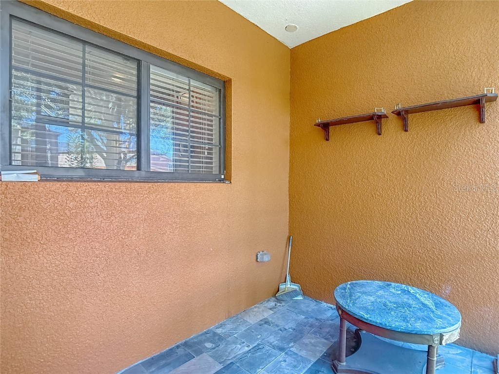 1046 Tullamore Drive Wesley Chapel FL 33543 TB8442568 image36