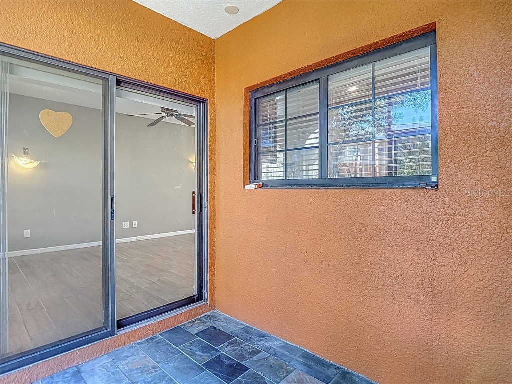 1046 Tullamore Drive Wesley Chapel FL 33543 TB8442568 image37