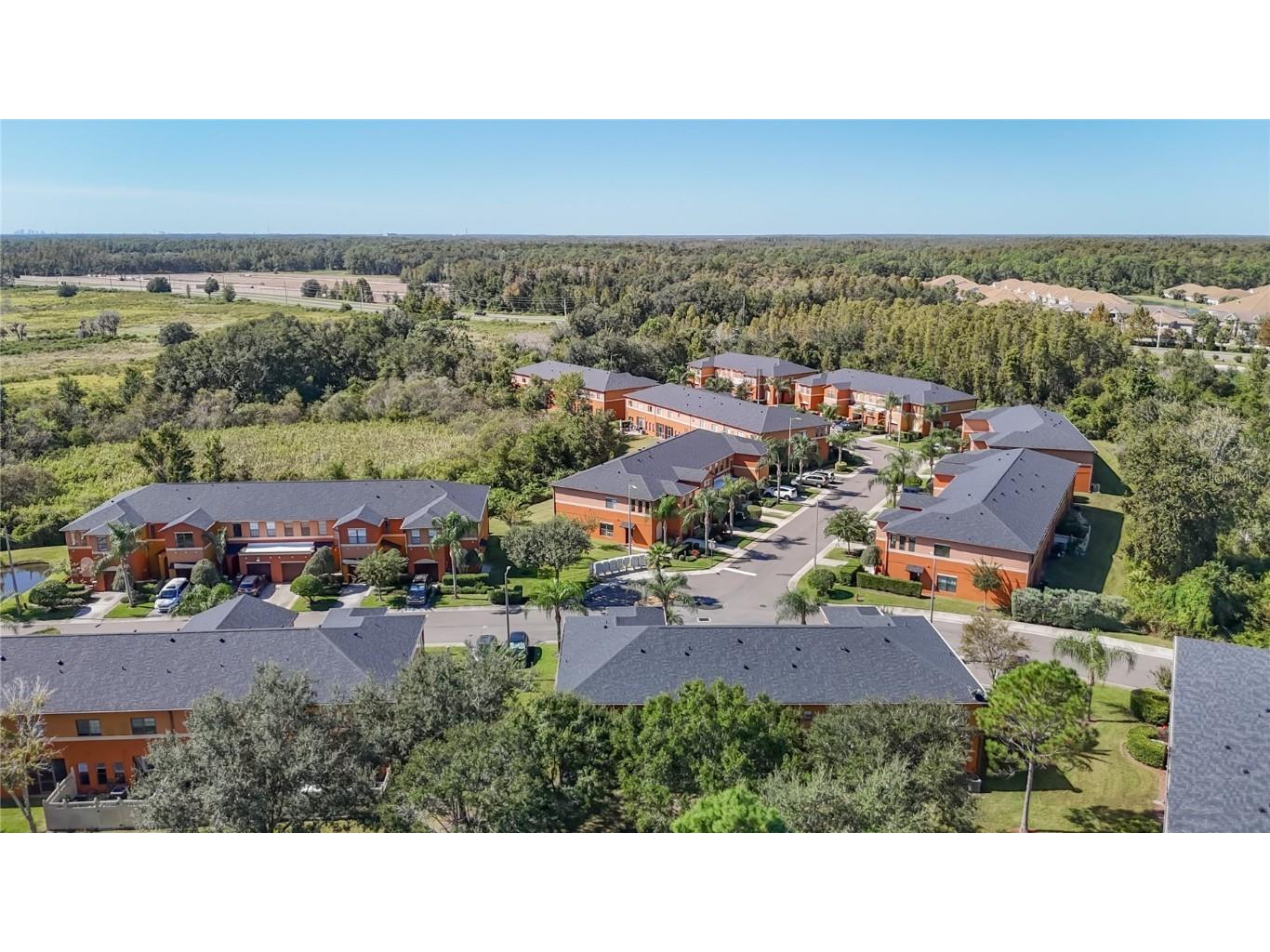 1046 Tullamore Drive Wesley Chapel FL 33543 TB8442568 image42