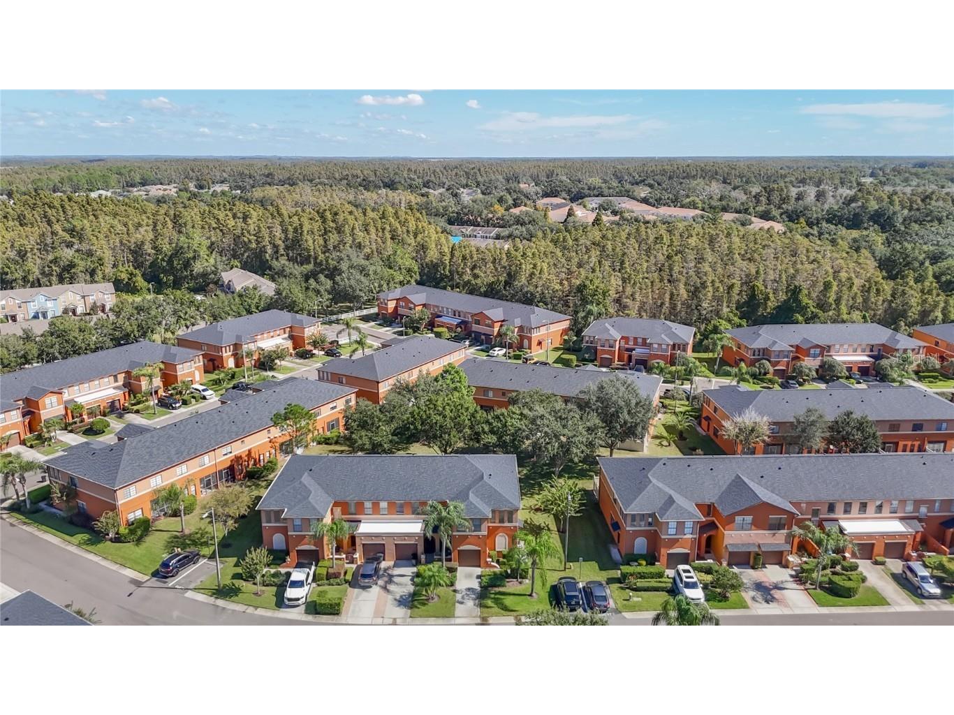 1046 Tullamore Drive Wesley Chapel FL 33543 TB8442568 image43