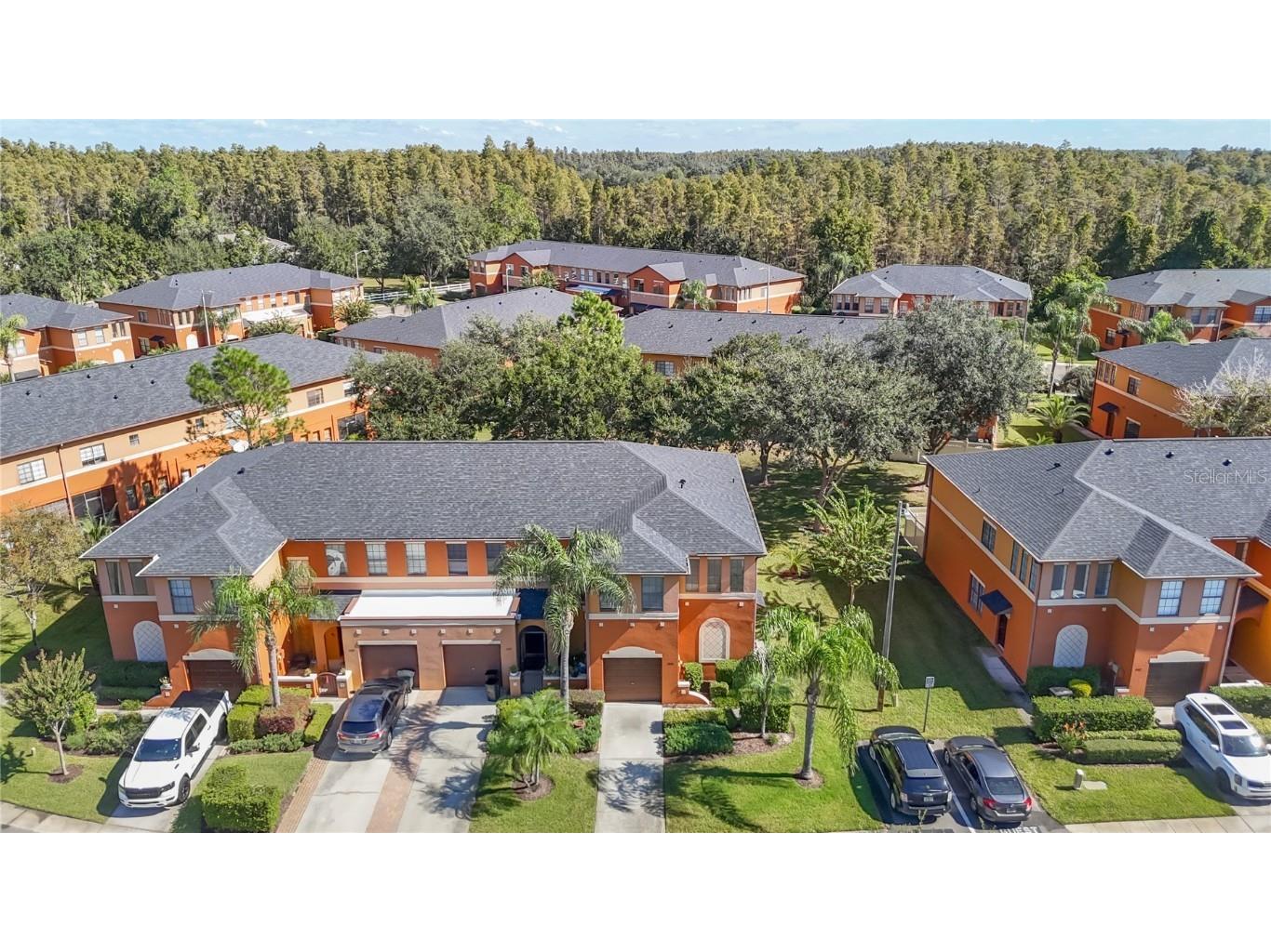 1046 Tullamore Drive Wesley Chapel FL 33543 TB8442568 image44