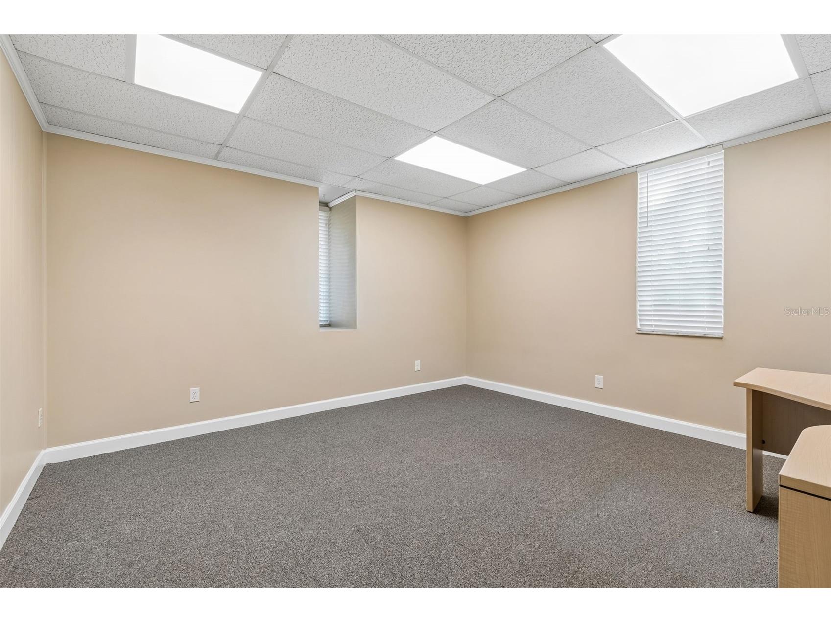 1046 W Busch Boulevard #100 Tampa FL 33612 TB8477712 image5