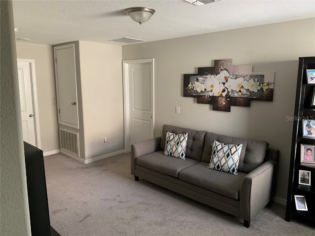 10460 Carloway Hills Drive Wimauma FL 33598 TB8449865 image6