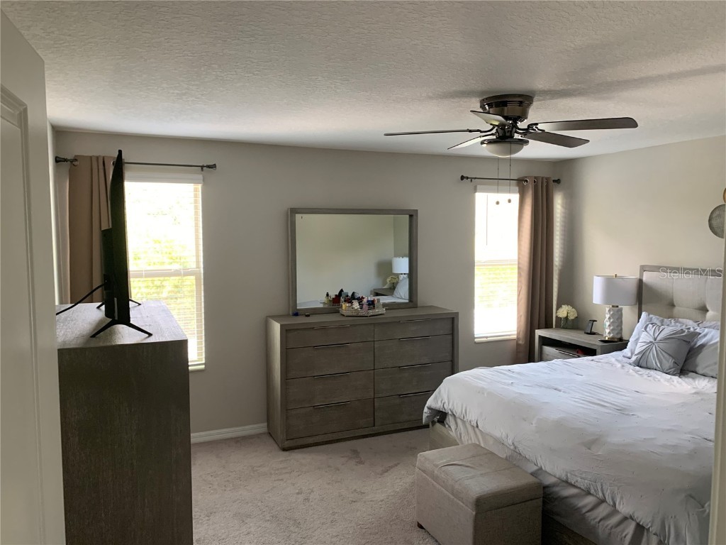 10460 Carloway Hills Drive Wimauma FL 33598 TB8449865 image7