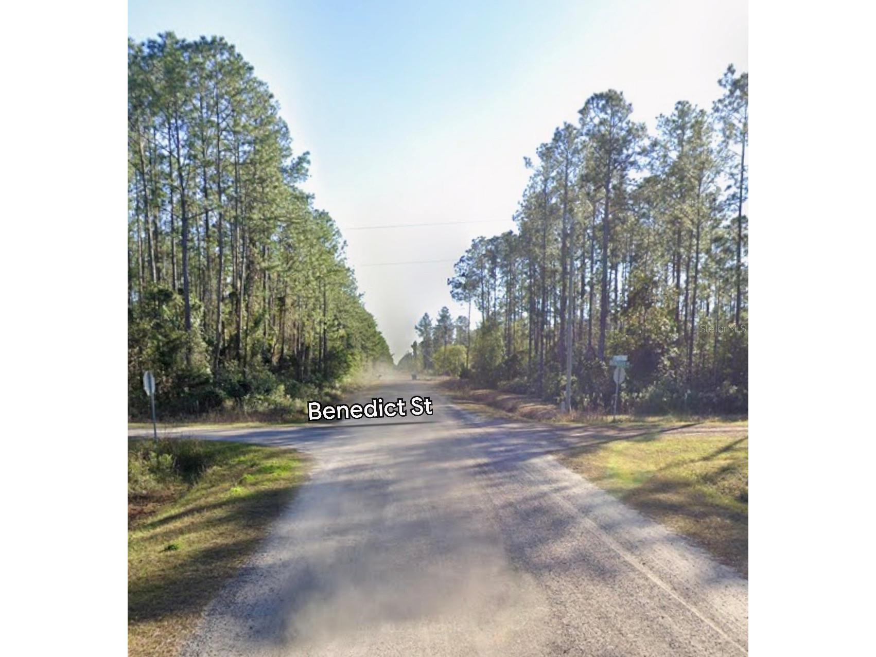 10460 Dillon Avenue Hastings FL 32145 A4699327 image2